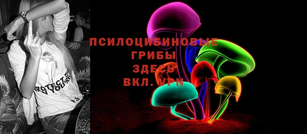 дмт Алексин