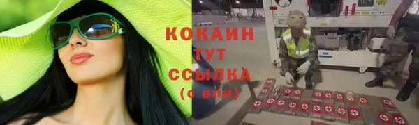 дмт Алексин